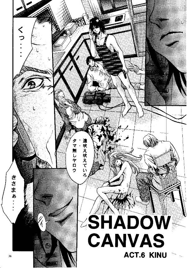 [Studio Big-X (Hiroshi Arino)] Shadow Canvas 9 