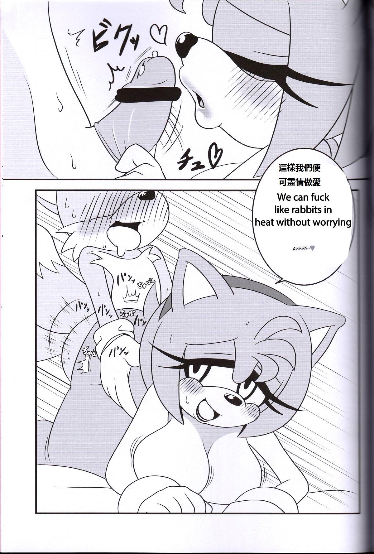 (Kansai! Kemoket 2) [Furry Fandom (Michiyoshi)] Kemono no Kanzume 3 (Sonic The Hedgehog) [English, Chinese] (関西!けもケット2) [ふぁ～りぃ☆ふぁんだむ (ミチヨシ)] ケモノの缶詰3 (ソニック・ザ・ヘッジホッグ) [英訳、中国翻訳]