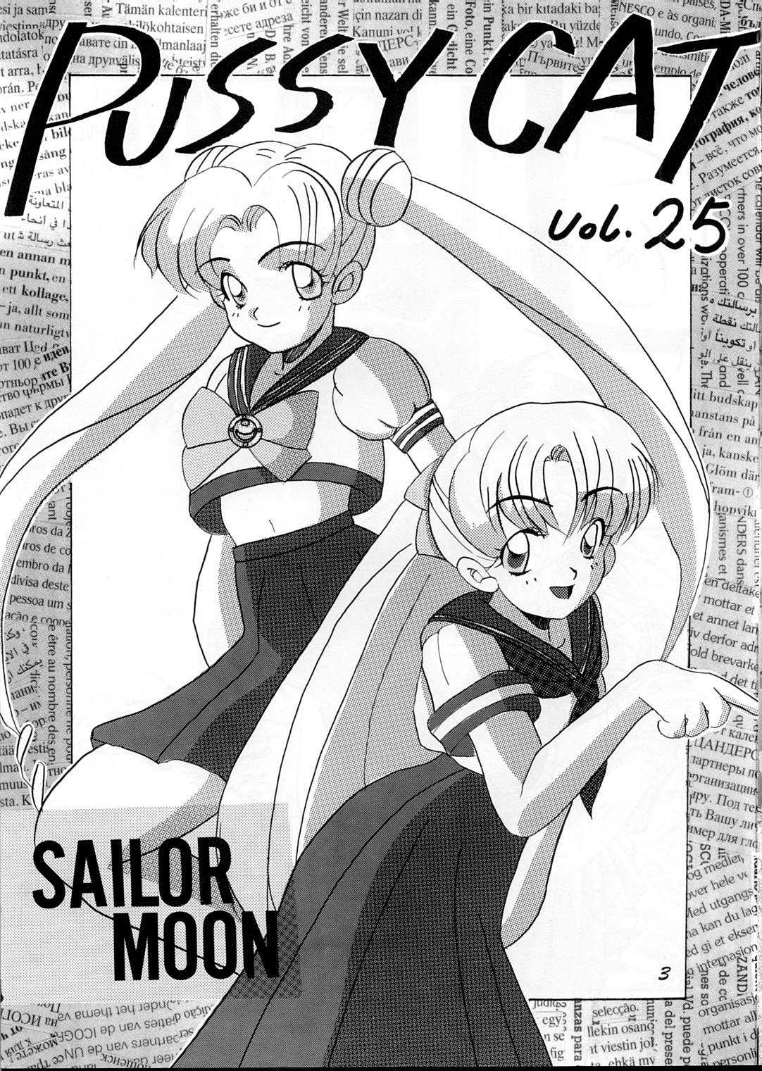 Pussy-Cat Vol. 25 [Sailor Moon] 