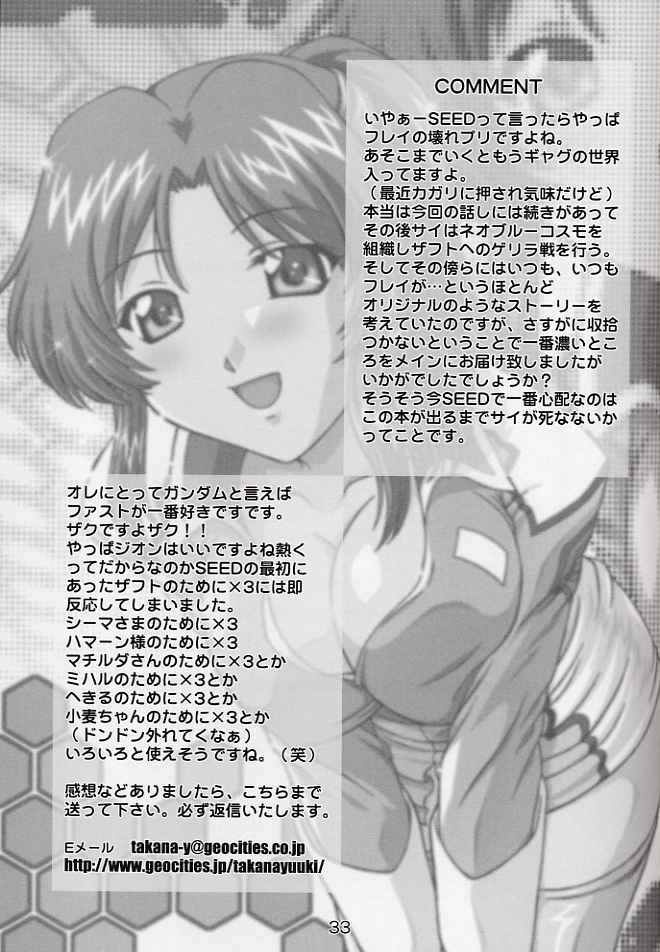 [Studio Wallaby] SECRET FILE NEXT 6 (Kidou Senshi Gundam SEED / Mobile Suit Gundam SEED) [スタジオ・ワラビー] SECRET FILE NEXT 6 (機動戦士ガンダムSEED)