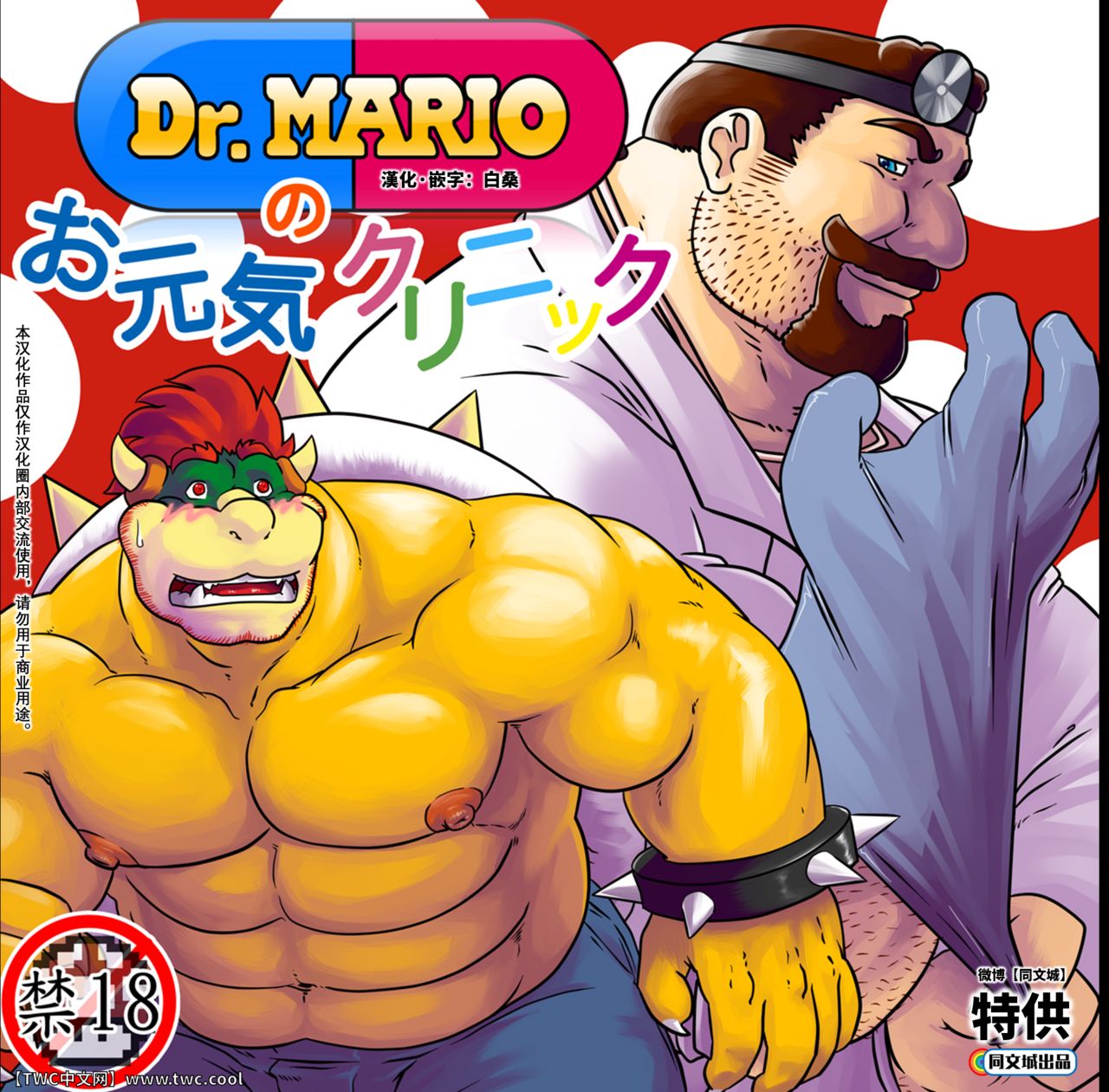 (BOOKET 6) [radio free kemono (Grisser)] Dr. Mario no Ogenki Clinic (Super Mario Bros.) [Chinese] [同文城] (ブーケット6) [レイディオ･フリーKEMONO (グリッサー)] Dr.マリオのお元気クリニック (スーパーマリオブラザーズ) [中国翻訳]