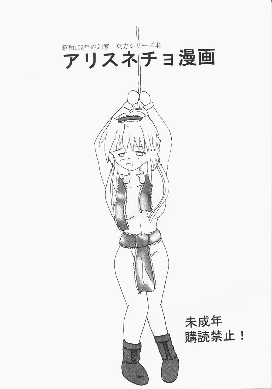 [Showa 103&#039;s Illusionary Dam]Alice Necho Cartoons{Touhou Project} 