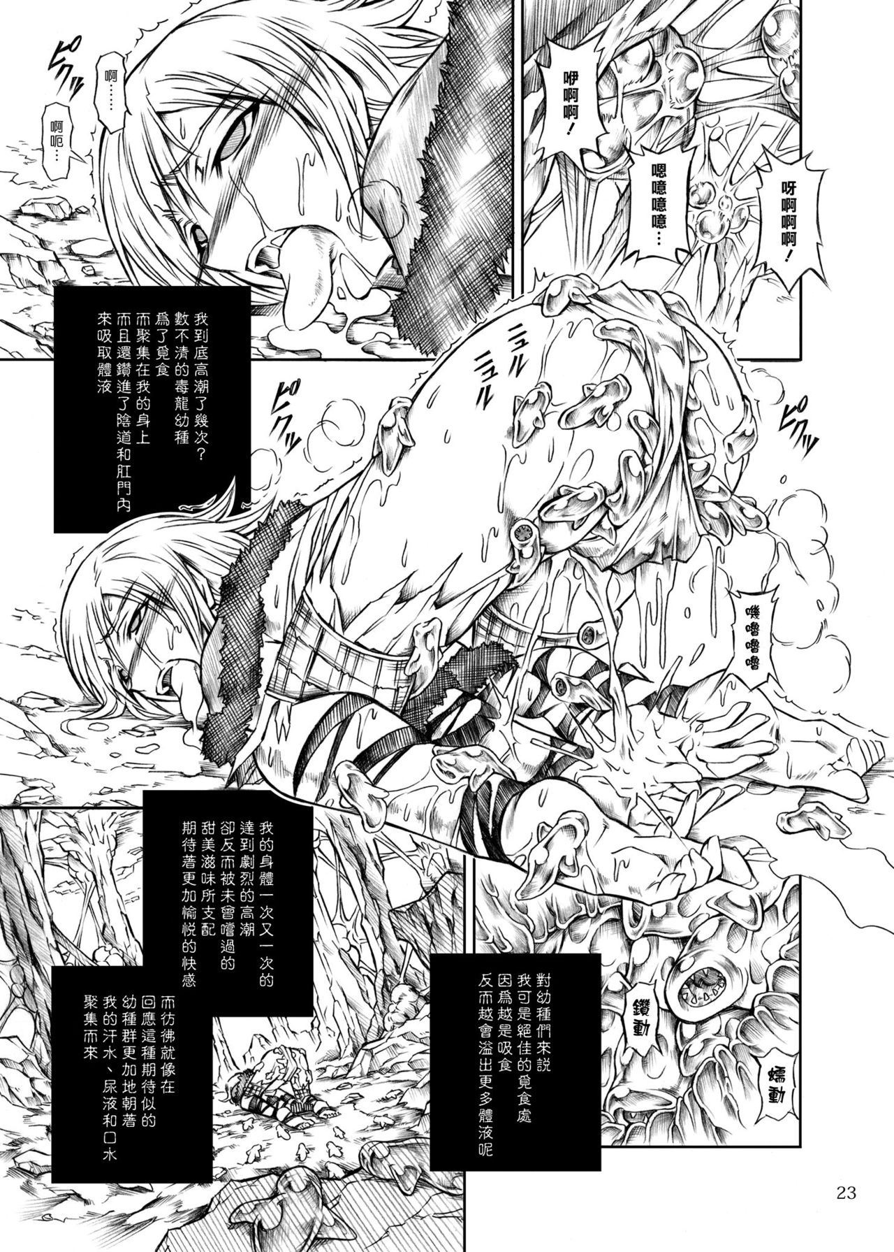 (C77) [Yokohama Junky (Makari Tohru)] Solo Hunter no Seitai (Monster Hunter) (CN) (C77) (同人誌) [Yokohama Junky (魔狩十織)] ソロハンターの生態 (モンスターハンター) [中文]