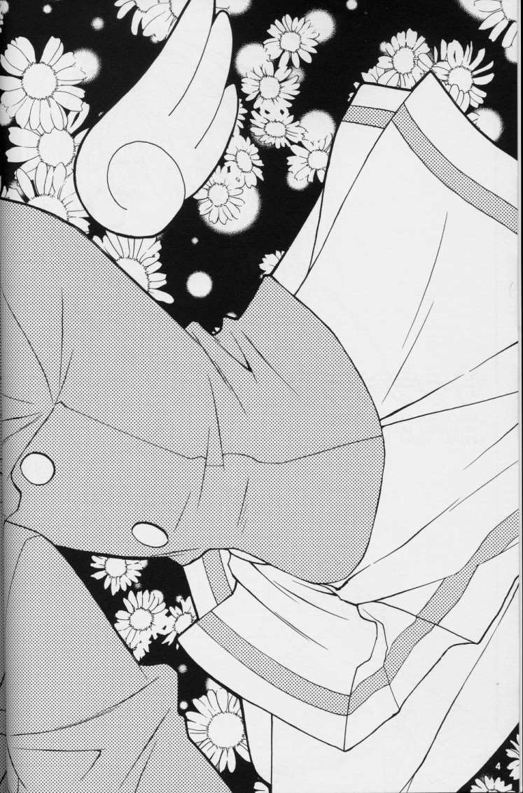 [Totsugeki Wolf (Hashiba Maiko, Yuhki Mitsuru)] Sakura Sakura (Cardcaptor Sakura) [突撃ウルフ (結城みつる)] サクラサクラ (カードキャプターさくら)