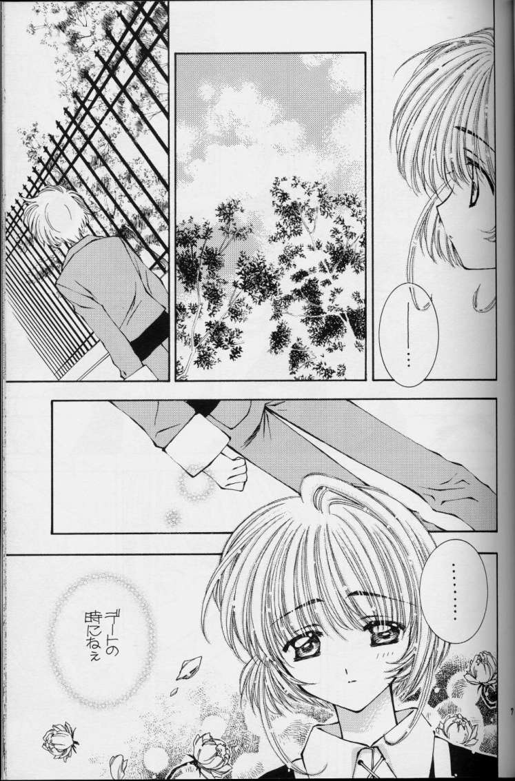 [Totsugeki Wolf (Hashiba Maiko, Yuhki Mitsuru)] Sakura Sakura (Cardcaptor Sakura) [突撃ウルフ (結城みつる)] サクラサクラ (カードキャプターさくら)