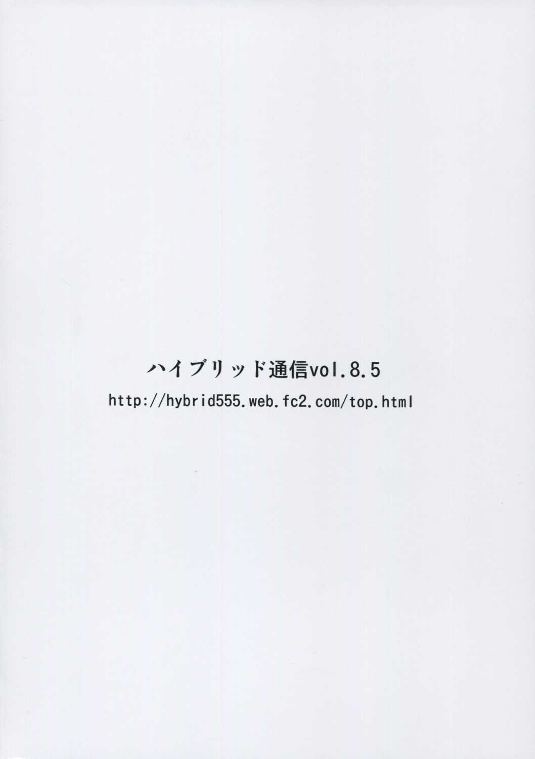 [Hybrid Jimushitsu (Muronaga Char siu)] Hybrid Tsuushin Vol.8.5 [ハイブリッド事務室 (室永叉焼)] ハイブリッド通信 vol.8.5