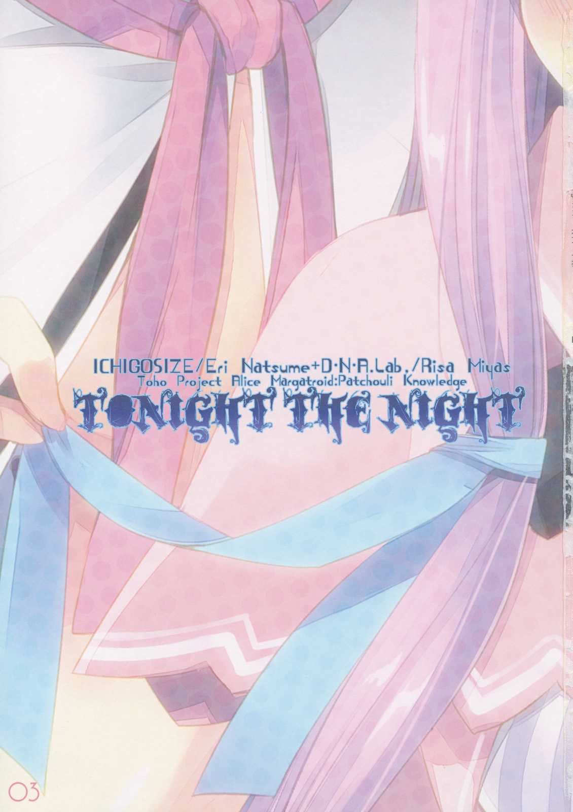 (Reitaisai 9) [D.N.A.Lab., Ichigo Size (Miyasu Risa, Natsume Eri)] Tonight The Night (Touhou Project) (例大祭9) [D・N・A.Lab.×いちごさいず (ミヤスリサ, なつめえり)] Tonight The Night (東方Project)
