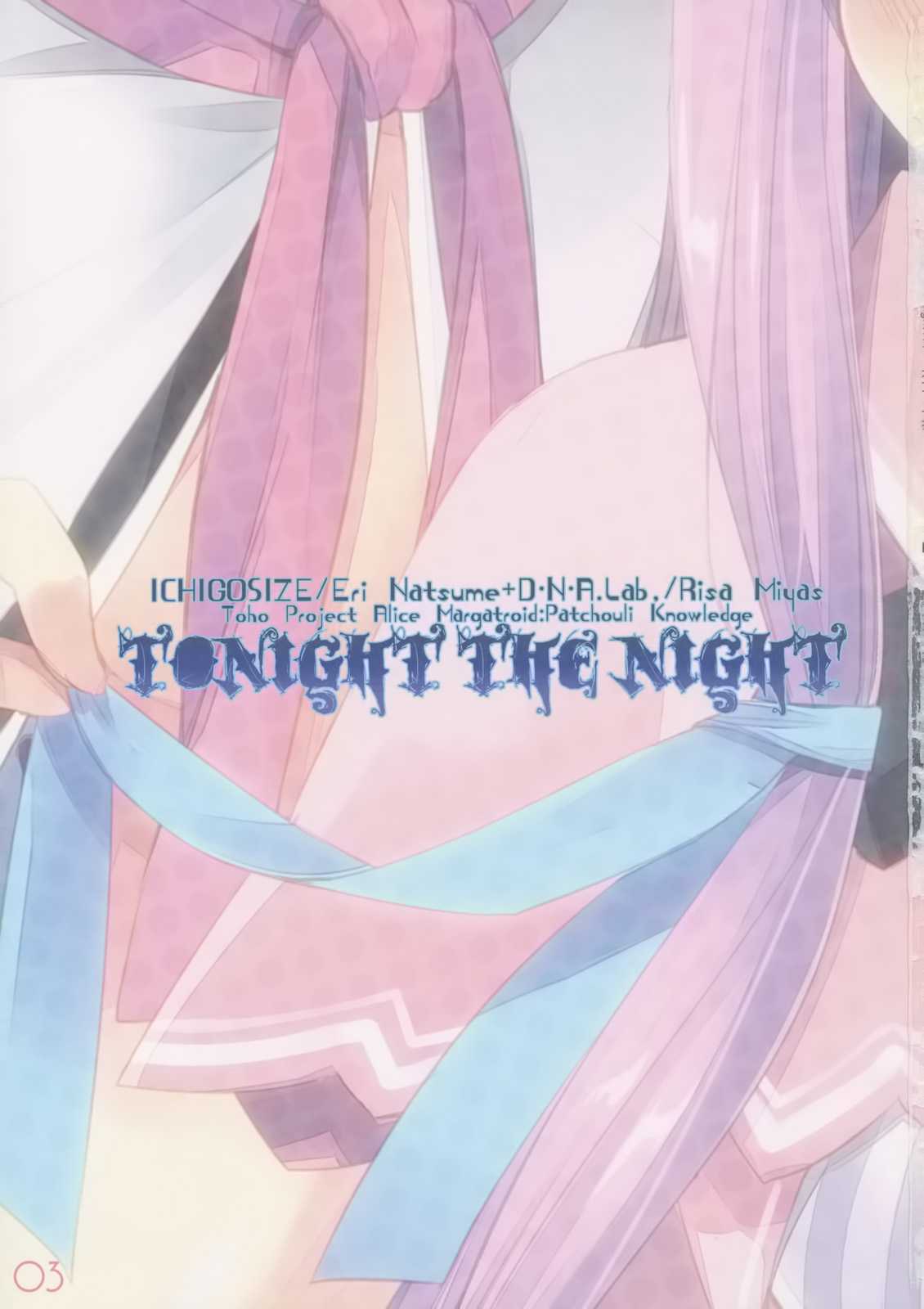 (Reitaisai 9) [D.N.A.Lab., Ichigo Size (Miyasu Risa, Natsume Eri)] Tonight The Night (Touhou Project) [Chinese] (例大祭9) [D.N.A.Lab.×いちごさいず (ミヤスリサ, なつめえり)] Tonight The Night (東方Project) [空気系★汉化]