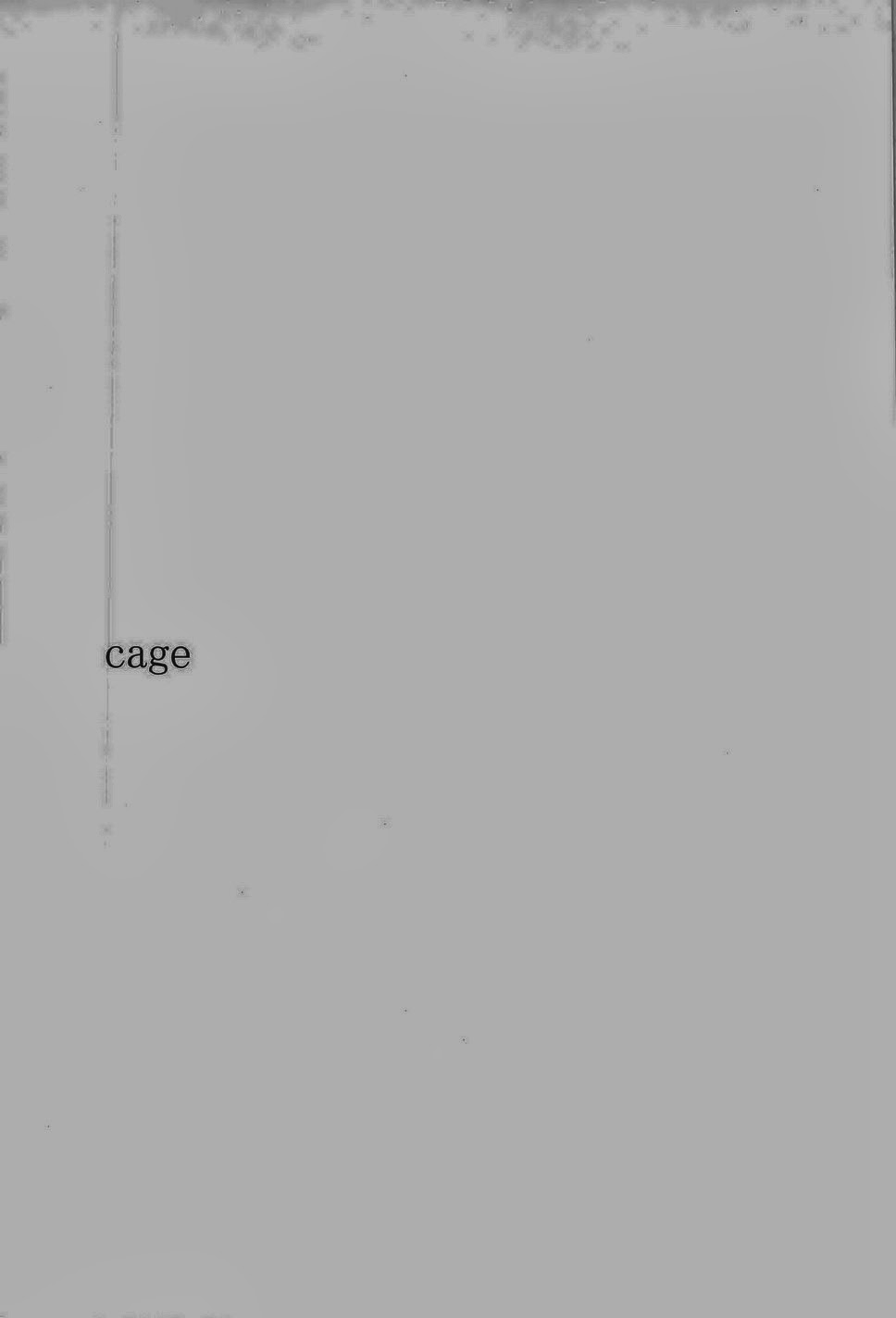 Cage (Magi: The Labyrinth of Magic) [蒸気機関車 (アリカ)] cage (マギ)