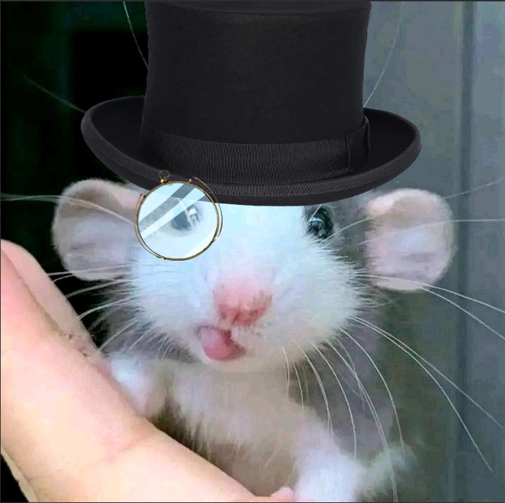 [比比西] 鼠鼠我啊…… 