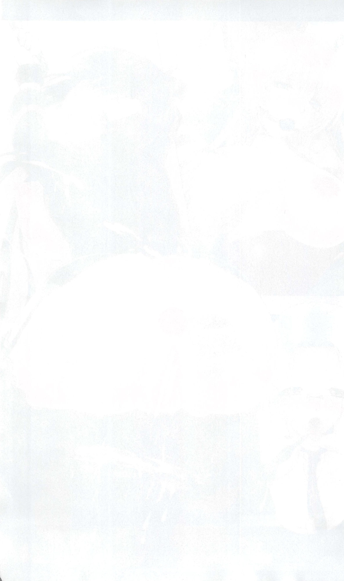 [Takaoka Chikara, Karasuma Nishiki] Gunzoku Reido Tsubaki -Midarechiru Sansenka- [高岡智空, からすま弐式] 軍属麗奴ツバキ -淫れ散る三戦華-