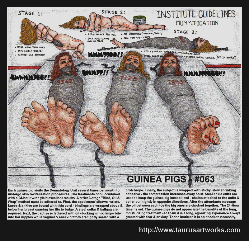 [taurusartworks]  GUINEA PIGS 